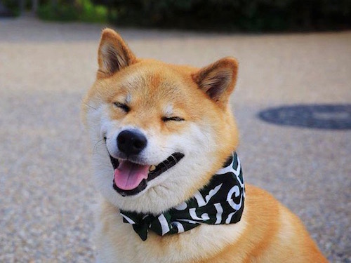 Maru